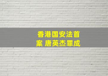 香港国安法首案 唐英杰罪成